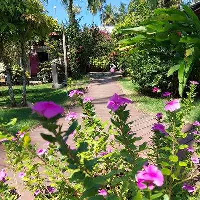 Hotel Casa Robinson