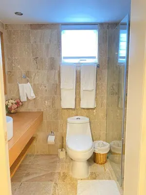 a bathroom with a toilet and a shower and a window at Apartamento de playa in San Felipe de Puerto Plata
