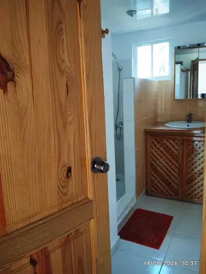 a bathroom with a shower and a wooden door at Residencial caoba in Las Terrenas