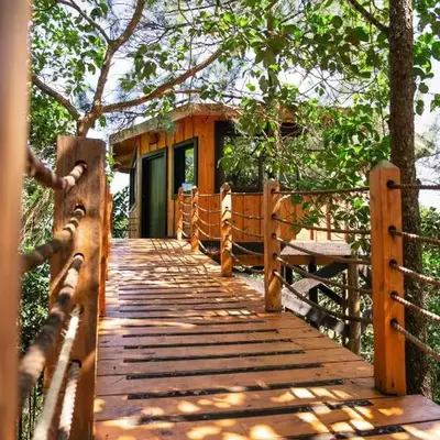 The Grand Forest Jarabacoa