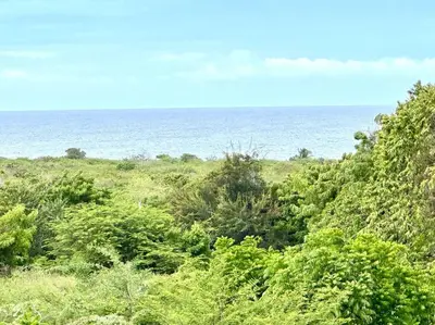 an open field with the ocean in the background at Luperon candles apartment in Puerto de Luperon