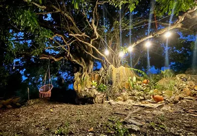 a tree with a swing hanging from it at night at Exclusive Mountain Villa with Ocean View near Puerto Plata in Maimón