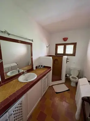 a bathroom with a sink and a toilet at Beach, nature and relaxation in Las Terrenas