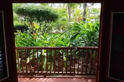 a view of a garden from a balcony at Beach, nature and relaxation in Las Terrenas