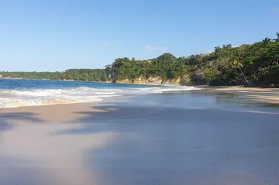 a beach with waves and trees on the shore at Villa LiMar in Río San Juan