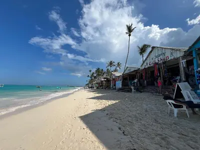 a beach with a palm tree and the ocean at Luxury Beach Penthouse with Pool, BBQ, AC, Wi-Fi, 5-Min Walk to El Cortecito & Bavaro Beaches, Punta Cana in Punta Cana
