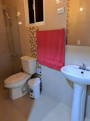 a bathroom with a toilet and a sink at Maravilloso Apartamento Pequeño in Santo Domingo