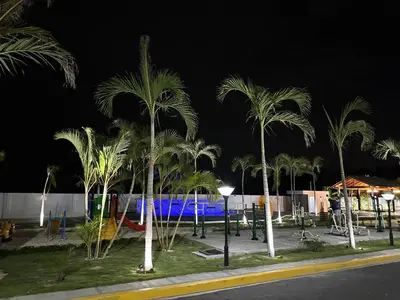 a group of palm trees in a park at night at RESIDENCIAL LEGADo in Azua de Compostela