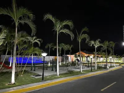 a row of palm trees on a street at night at RESIDENCIAL LEGADo in Azua de Compostela