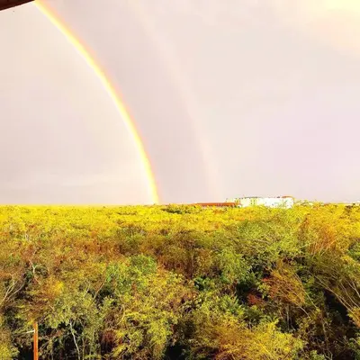 a rainbow over a field with a truck in the distance at Vibe Gorgeous one bedroom apartment view beach in La Laguna