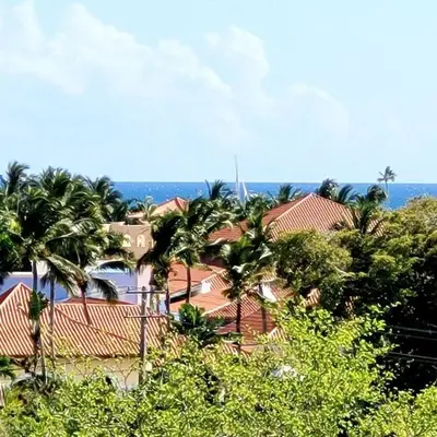 a group of houses with palm trees and the ocean at Vibe Gorgeous one bedroom apartment view beach in La Laguna
