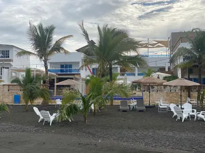a group of chairs and palm trees on the beach at Sun on the bay beach hotel in Palmar de Ocoa