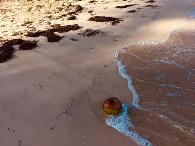 a rock in the sand on the beach at Las Terrenas Haven in Las Terrenas