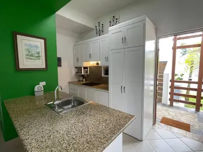 a kitchen with a sink and a green wall at Las Terrenas Haven in Las Terrenas