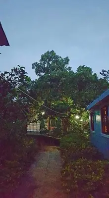 a house with trees and lights on a street at Home away from Home in La Villa Isabela in La Isabela