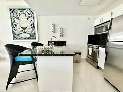 a kitchen with a counter with a tiger picture on the wall at Luxury 1 Bedroom with Seaview Seawinds in Cabarete