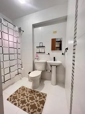 a white bathroom with a toilet and a sink at Condominio Emilia in Cancino