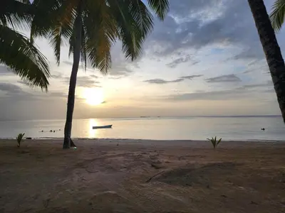 a beach with palm trees and the ocean at sunset at Villas Montemar - Villa Mar in Las Terrenas