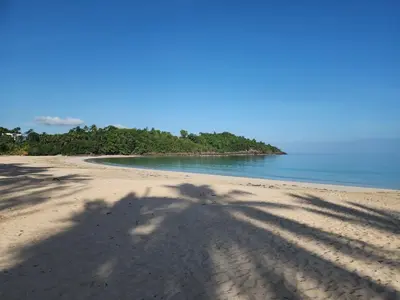 a shadow of a tree on a beach at Villas Montemar - Villa Sol in Las Terrenas