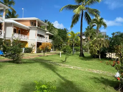 a house with a palm tree and a yard at Appartement Paraiso 150m playa ballenas in Las Terrenas