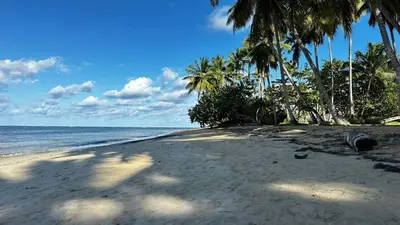 a sandy beach with palm trees and the ocean at Casa Ballenas3 SF in Las Terrenas