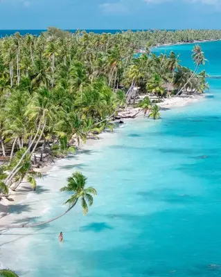 an aerial view of a beach with palm trees at Blue fish apartamento in Sosúa