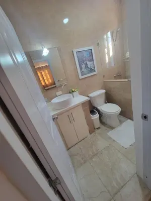 a bathroom with a toilet and a sink and a toilet at The Omelís House in Santa Bárbara de Samaná