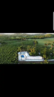 a large white building in a field with trees at Finca im Grünen, sehr ruhige Lage, Terrasse mit Pool in Baní