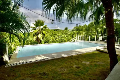 a swimming pool in a yard with palm trees at Villa Valentine LomaBonitaLasTerrenas in Las Terrenas