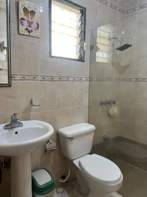 a bathroom with a toilet and a sink at Hostal Bless house in San Pedro de Macorís