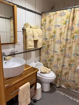a bathroom with a sink and a toilet and a shower curtain at Marbella-SeaView-FrontBeach-Cozy-2Br-2Bds-4Pax-WiFi in Villas del Mar