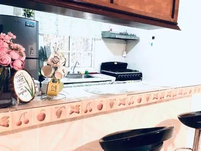 a kitchen with a counter with flowers and a sink at La casa del almendro in Concepción de La Vega