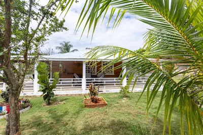 a house with a palm tree in front of it at Casa Palma El Limon Samana in El Limón