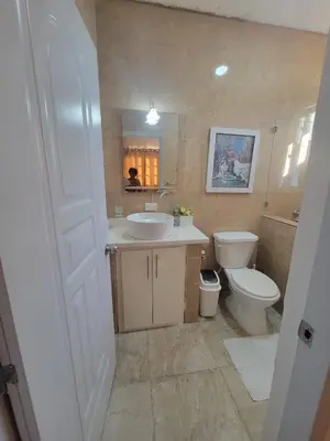 a bathroom with a sink and a toilet at The Omelís House in Santa Bárbara de Samaná