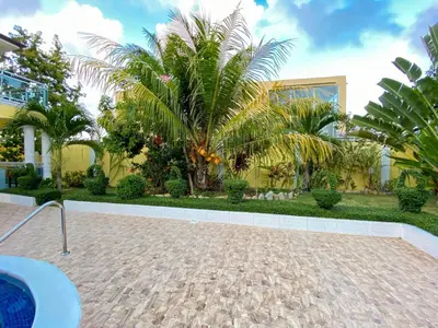 a courtyard with a palm tree and a yellow house at Beautiful Villa with Mountain view in San Felipe de Puerto Plata