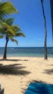 two palm trees on a beach with the ocean at Aqua Loft 118 - Juan Dolio in La Puntica de Juan Dolio