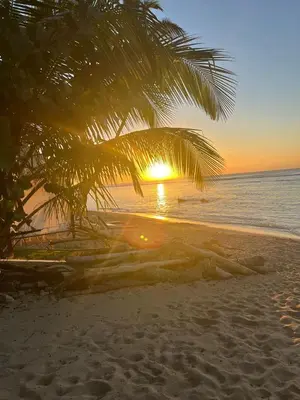 a palm tree on a beach with the sunset at Aqua Loft 118 - Juan Dolio in La Puntica de Juan Dolio