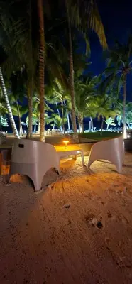 two benches on a beach with palm trees at night at Aqua Loft 118 - Juan Dolio in La Puntica de Juan Dolio