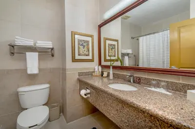 a bathroom with a toilet and a sink and a mirror at Hodelpa Garden Suites - All Inclusive in Juan Dolio