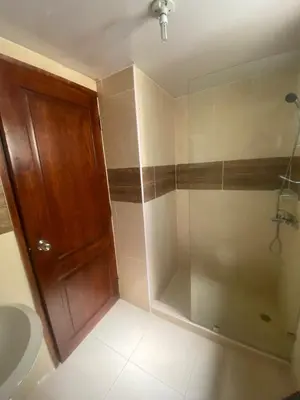a bathroom with a shower with a toilet and a wooden door at Como apartamento in La Javilla
