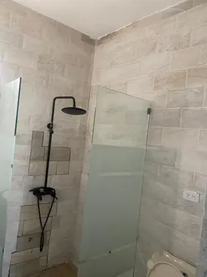 a bathroom with a shower with a toilet in it at My propio esfuerzo in Vicente Noble