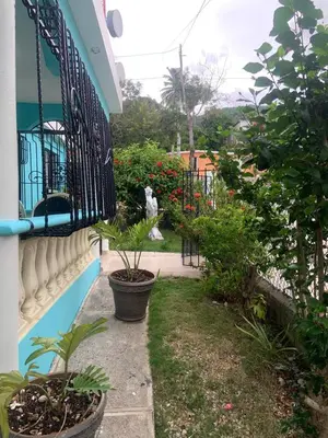 a garden with potted plants on the side of a building at Villa francia in Santa Cruz de Barahona