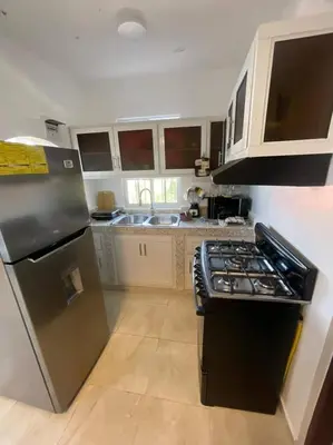 a kitchen with a stove and a refrigerator at Villas Hillside apt 2 in Santa Bárbara de Samaná