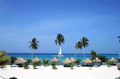 a beach with straw umbrellas and palm trees and the ocean at Lovely apartment by the Caribbean in Bayahibe