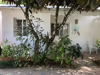 a tree in front of a white house with plants at Beach Hotel Casa Nina in Las Terrenas