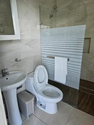 a bathroom with a white toilet and a sink at Full Department 2 in Las Terrenas