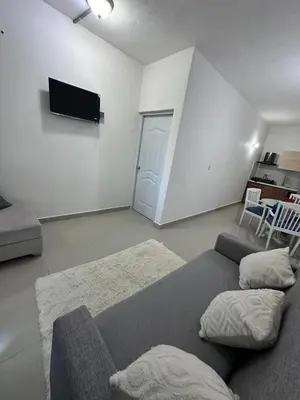 a living room with a couch and a flat screen tv at Apartahotel-E vista catalina in La Romana