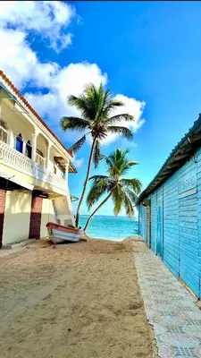 a palm tree and a house on the beach at Un Lugar Único y Céntrico RD Los Corales in Punta Cana
