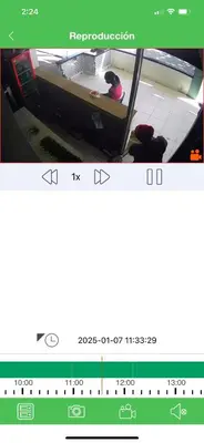 a screenshot of a ruler with two teddy bears on a table at Antare ll edificio 52 A3 in Santo Domingo