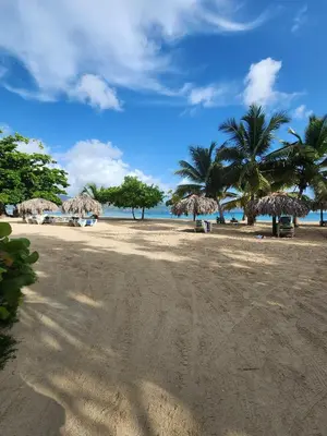 a sandy beach with straw umbrellas and palm trees at Bella Villa Apart for 2 with kitchen pool and close to the beach in Las Galeras